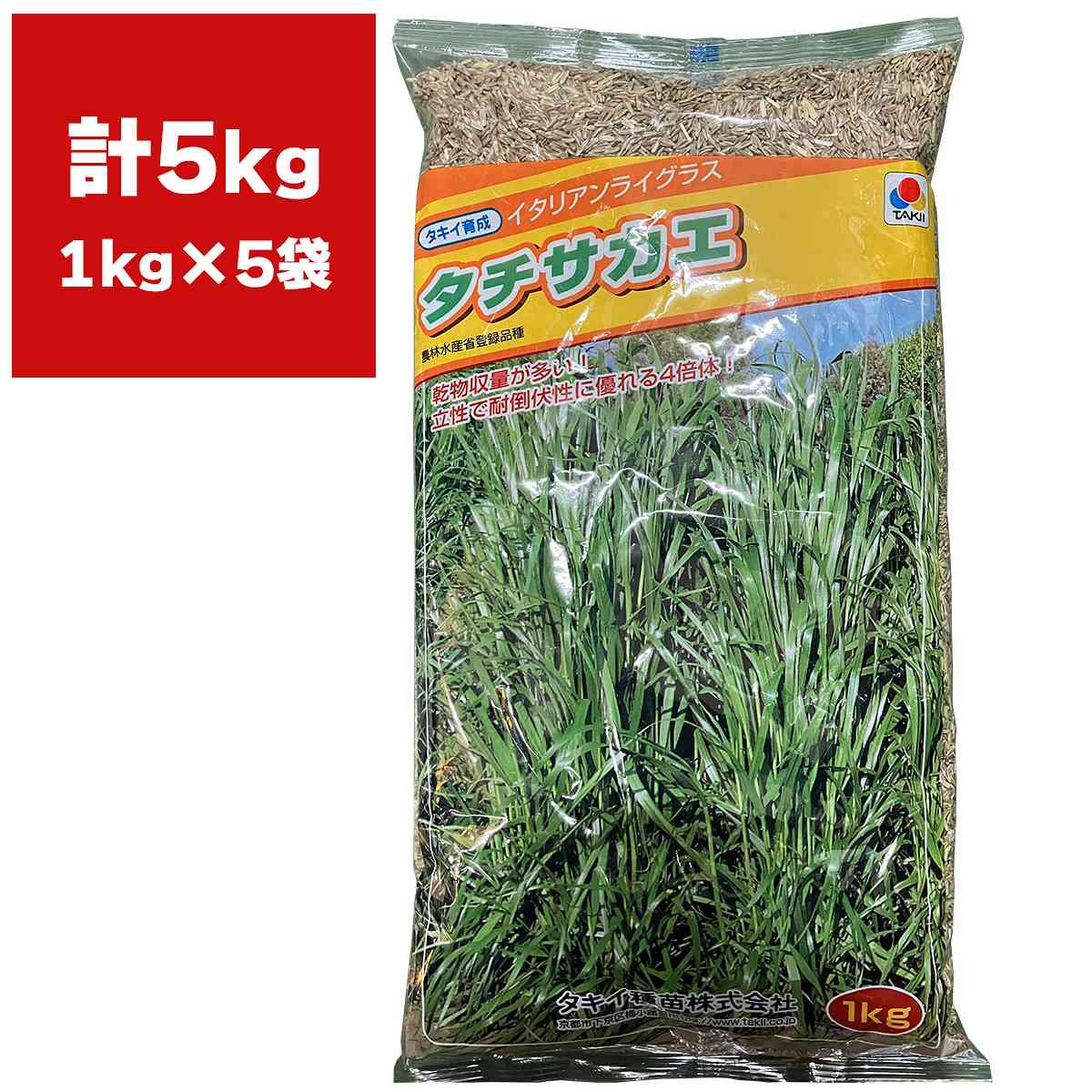 ※メーカーより直送品となります。当店から出荷される商品と一緒に購入された場合別途送料が発生致しますご了承ください。有効期限最低3カ月以上の商品を発送させていただきます。それ以下の期限になる場合、当店よりメールまたはお電話にてご連絡させていただきます。ご注意：必ず播種時期を確認して頂きご購入をお願い致します。ご利用になる地域の気温をご確認の上、ご購入お願い致します。農林水産省登録品種：タチサカエ立性で耐倒伏性が強い4倍体特性4倍体。中生。乾物収量が多く、刈り取り後の再生力も良好。積雪地帯での越冬性に優れ、雪腐病に強い。従来の4倍体に比べ直立型で耐倒伏性が強いため、機械収穫時の刈り残しが出にくい。播種適期秋まき：9月〜11月春まき：3月〜5月播種量：3〜4kg/10a検索ワード：牧草 種 牧草 種子 牧草の種 牧草 種 牧草 種 緑肥 種子 緑肥 種 緑肥種子 牧草種子 牧草 種 牧草 緑肥種子 緑肥 種