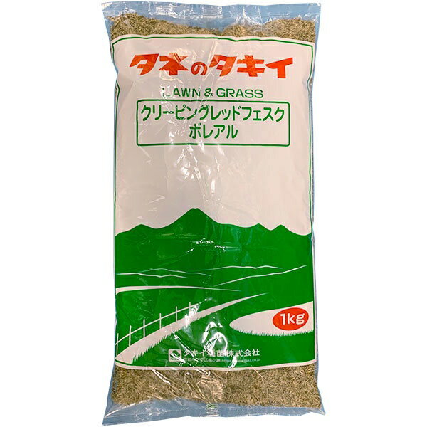 【楽天スーパーSALE 6月4日20時～10％OFF】クリーピングレッドフェスク ボレアル 20kg(1kg×20袋) タキイ種苗 種子 芝種 代金引換不可 送料無料