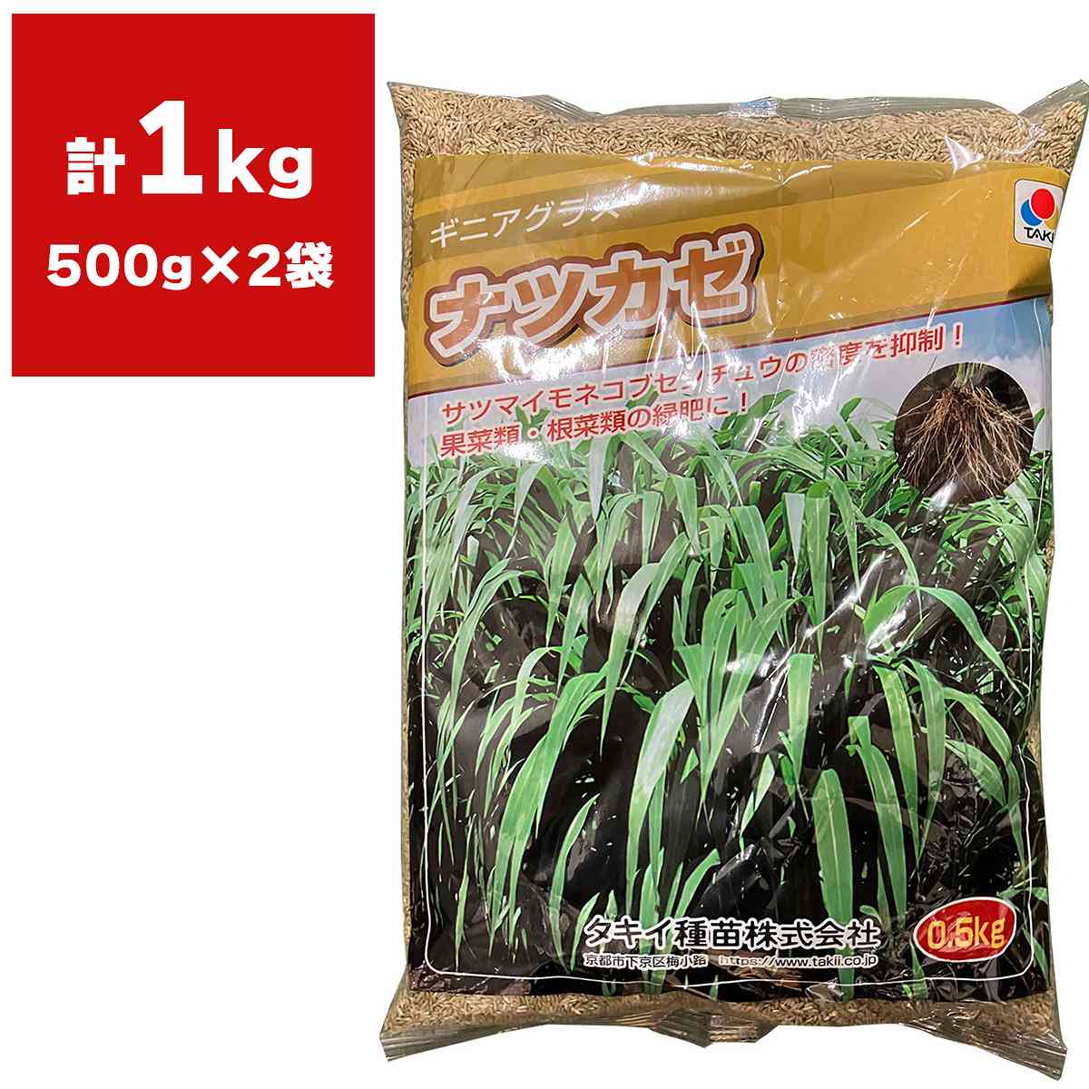 ギニアグラス ナツカゼ 1kg(500g×2袋) タキイ種苗 緑肥 種子 牧草 種子 センチュウ 密度抑制 早生 緑肥 種子 緑肥の種 緑肥の種子 緑肥作物 種子
