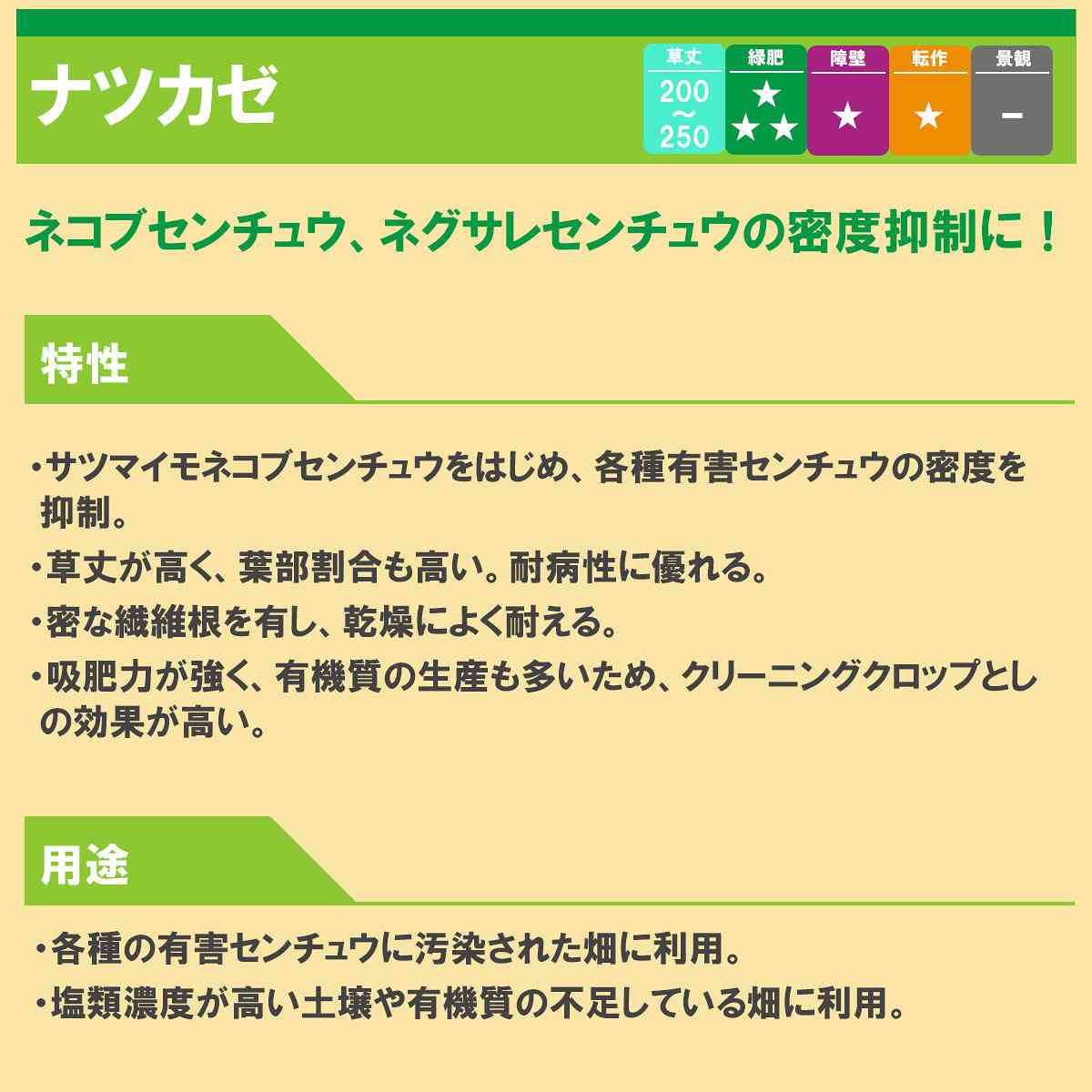 ギニアグラス ナツカゼ 1kg(500g×2袋) タキイ種苗 緑肥 種子 牧草 種子 センチュウ...