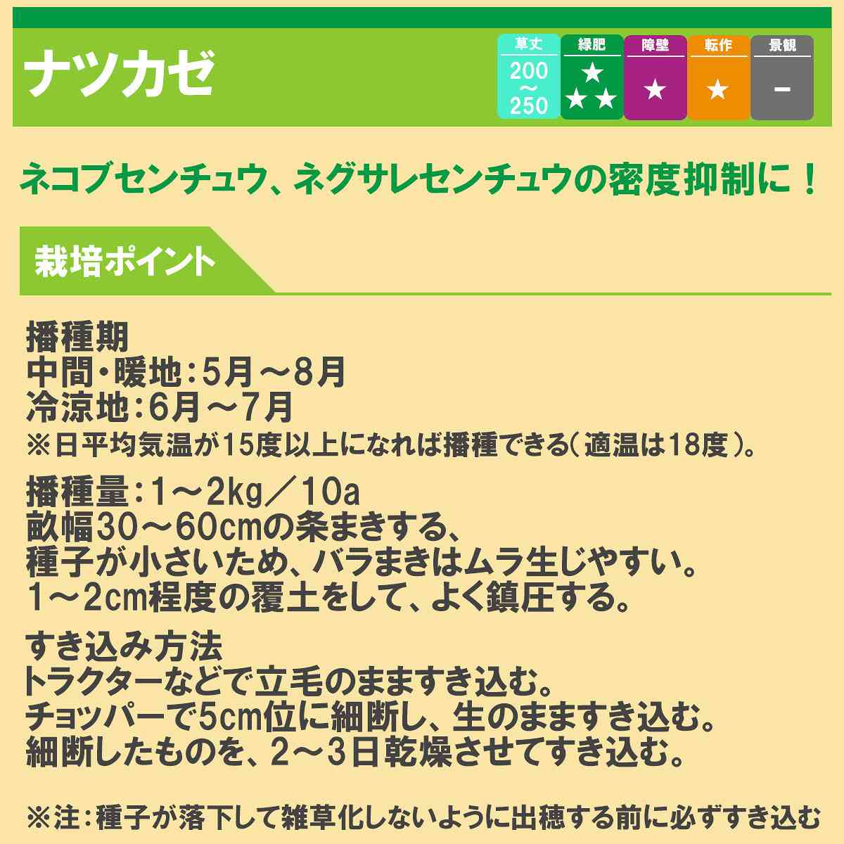 ギニアグラス ナツカゼ 1kg(500g×2袋) タキイ種苗 緑肥 種子 牧草 種子 センチュウ...