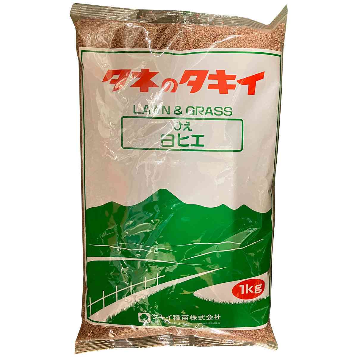 ひえ 白ヒエ 1kg タキイ種苗 緑肥 種子 牧草 種子 飼料 緑肥 極早生 緑肥 種子 緑肥の種 緑肥の種子 稗 種子 ひえの種