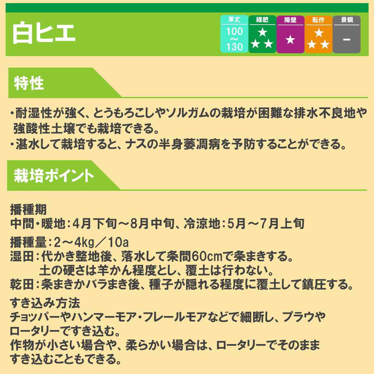 ひえ 白ヒエ 20kg (1kg×20袋) タキイ種苗 緑肥 種子 牧草 種子 飼料 緑肥 極早生 ...