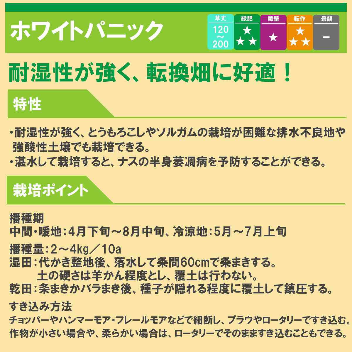 ひえ ホワイトパニック 20kg (1kg×20袋) タキイ種苗 緑肥 種子 牧草 種子 飼料 緑...