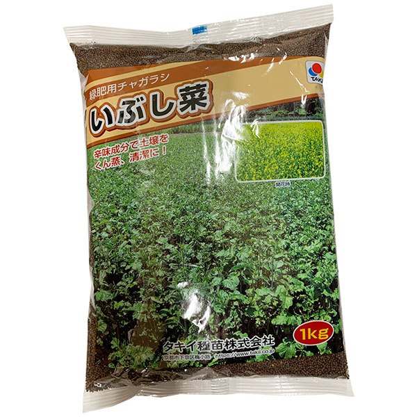 緑肥用チャガラシいぶし菜 1kg 緑肥種 代金引換 無料