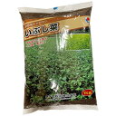 緑肥用チャガラシいぶし菜 1kg タキイ種苗 緑肥種 代金引換不可 送料無料