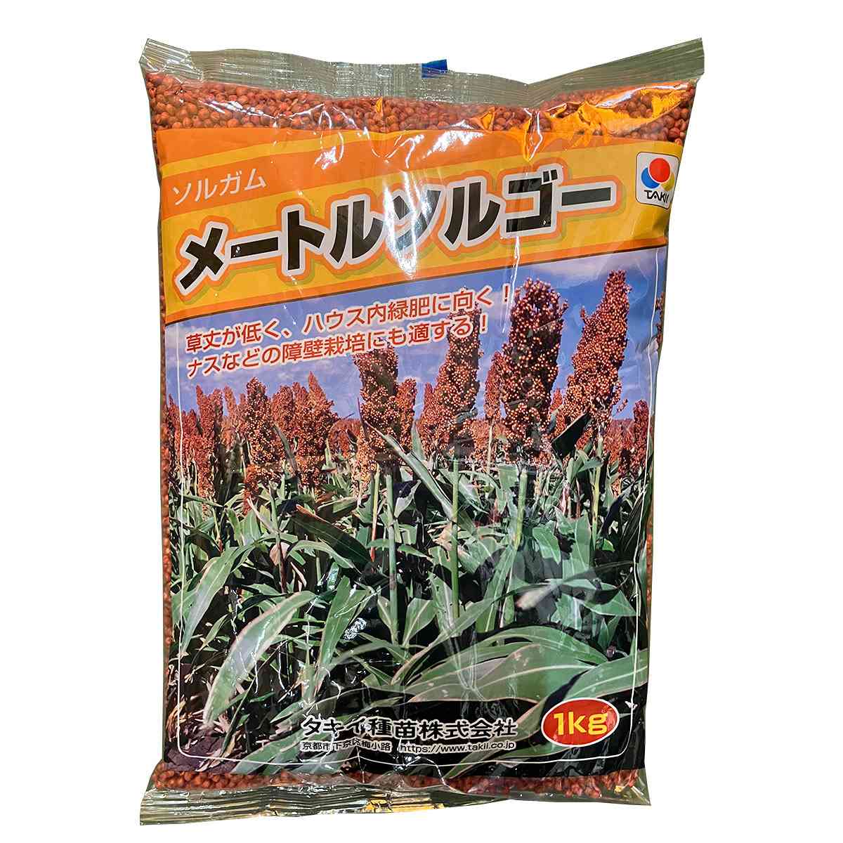 ソルガム メートルソルゴー 1kg タキイ種苗 緑肥 種子 緑肥 種 子実型 早生 ソルゴー 種子 ソルガム 種子 緑肥の種 緑肥の種子 牧草 種子