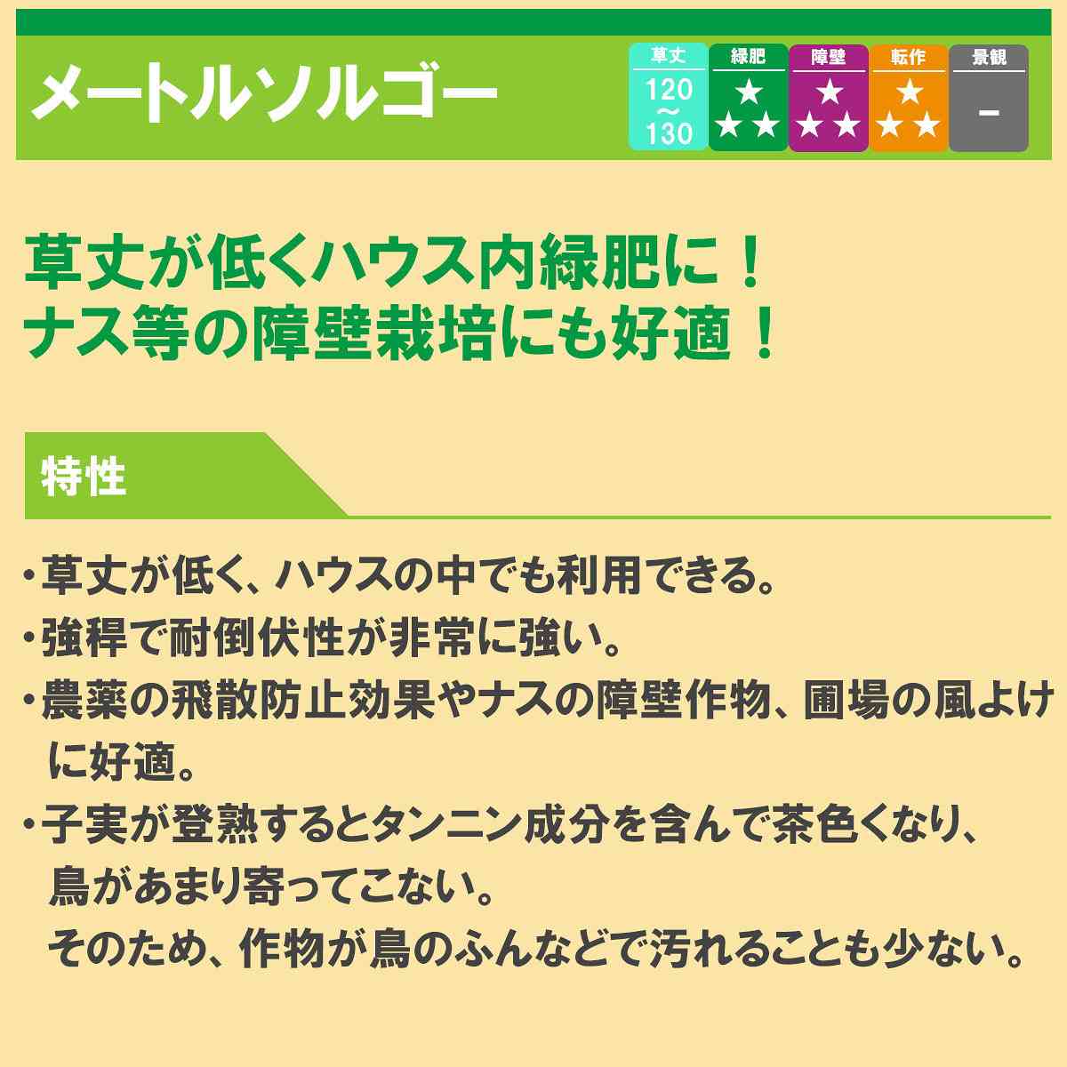 ソルガム メートルソルゴー 1kg タキイ種苗 緑肥 種子 緑肥 種 子実型 早生 ソルゴ...