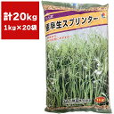 緑肥 えん麦 極早生スプリンター 20kg (1kg×20袋) タキイ種苗 えん麦 種子 えん麦 種 緑肥 種子 緑肥 種 エンバク 種 エンバク 種子 緑肥 業務用 種子