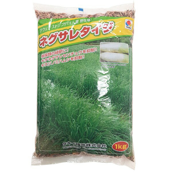 アウェナストリゴサ(えん麦 野生種) ネグサレタイジ 1kg タキイ種苗 緑肥種