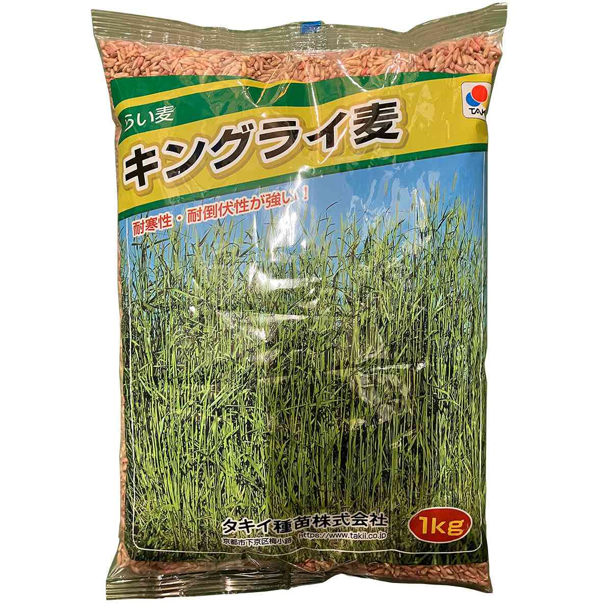 らい麦 キングライ麦 1kg タキイ種苗 緑肥 種子 牧草 種子 ライ麦 種子 らい麦 早生 種子 緑肥の種 緑肥の種子 飼料 種 耐倒伏性 らい麦 種子