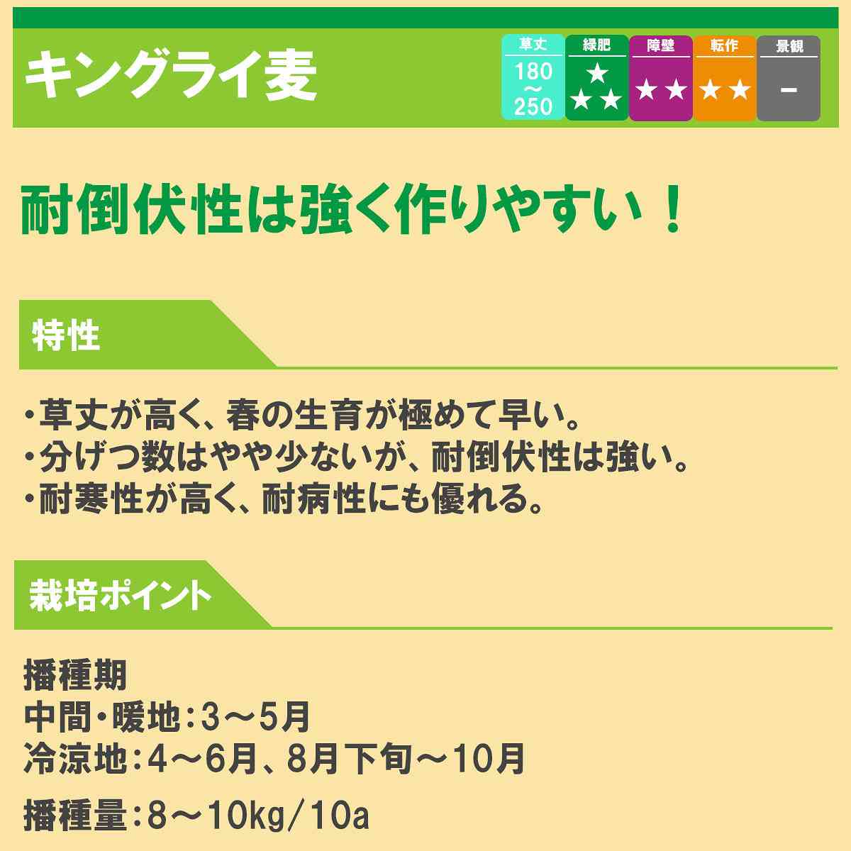 らい麦 キングライ麦 20kg (1kg×20袋) タキイ種苗 緑肥 種子 牧草 種子 ライ麦 種...