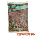 楽天スーパーSALE 10%OFF 緑肥・景観用 れんげ 1kg×10袋 タキイ種苗 緑肥 れんげ 種 緑肥 れんげ 種子 れんげの種 れんげの種子 緑肥 種 緑肥 種子 れんげ種 レンゲ 種 レンゲ 種子