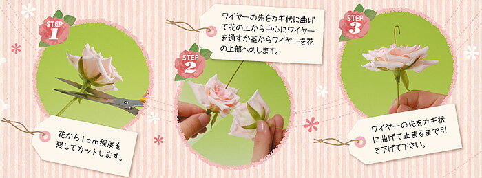 ���ꥫ���� �ɥ饤�ե��Ѵ���� 1kg ˭�Ĳ���������� ��γ�����餭�줤�˻ž夬��