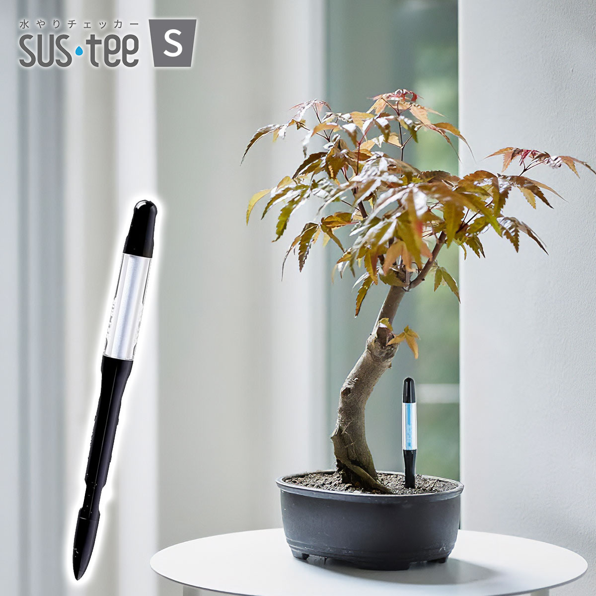水やりチェッカー SUS-TEE(サスティー) Sサイズ ブラック C-0031-BK キャビノチェ 2～3号鉢用 植物用水分計 M