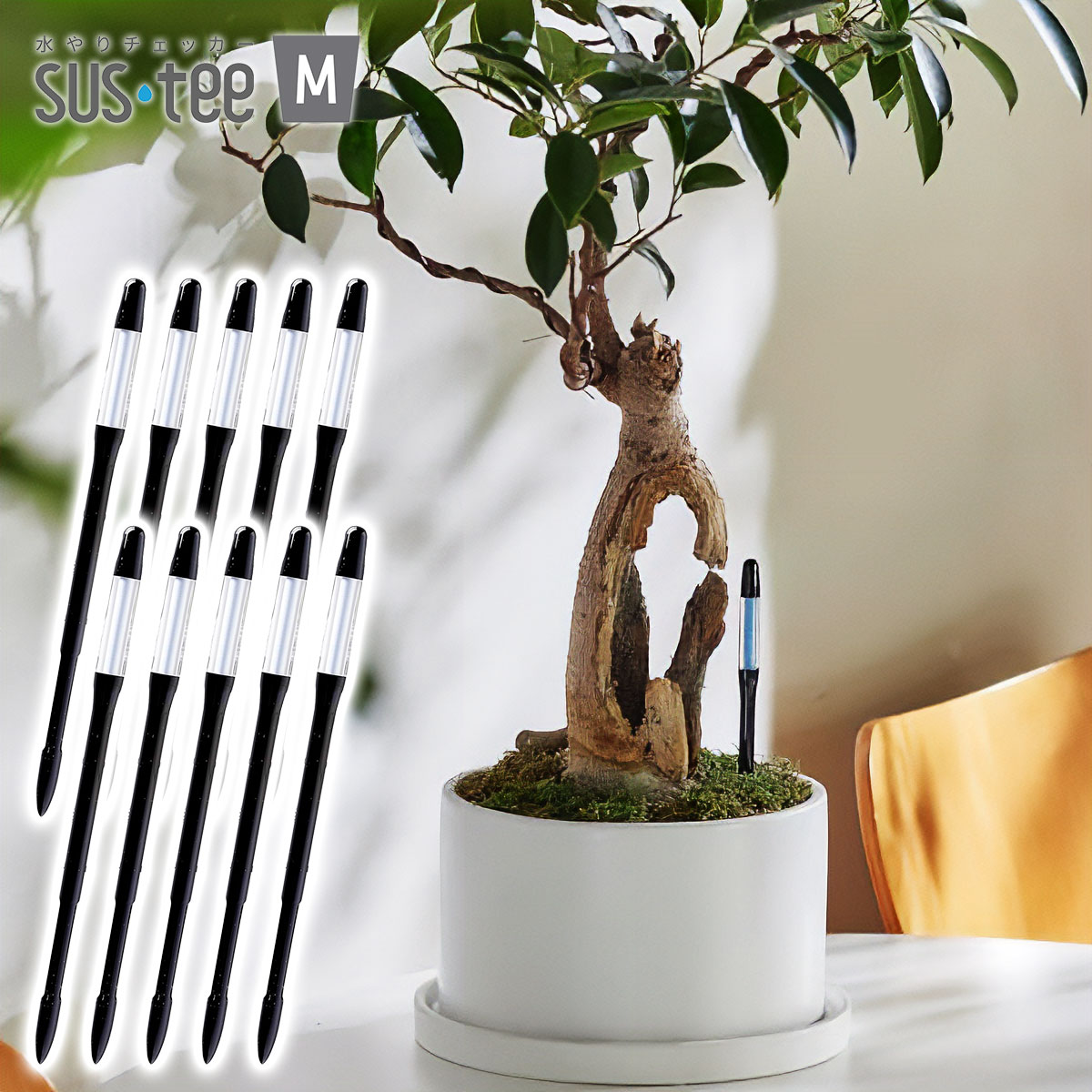 水やりチェッカー SUS-TEE(サスティー) Mサイズ ブラック C-0032-BK ×10本 キャビノチェ 3.5～6号鉢用 植物用水分計 M