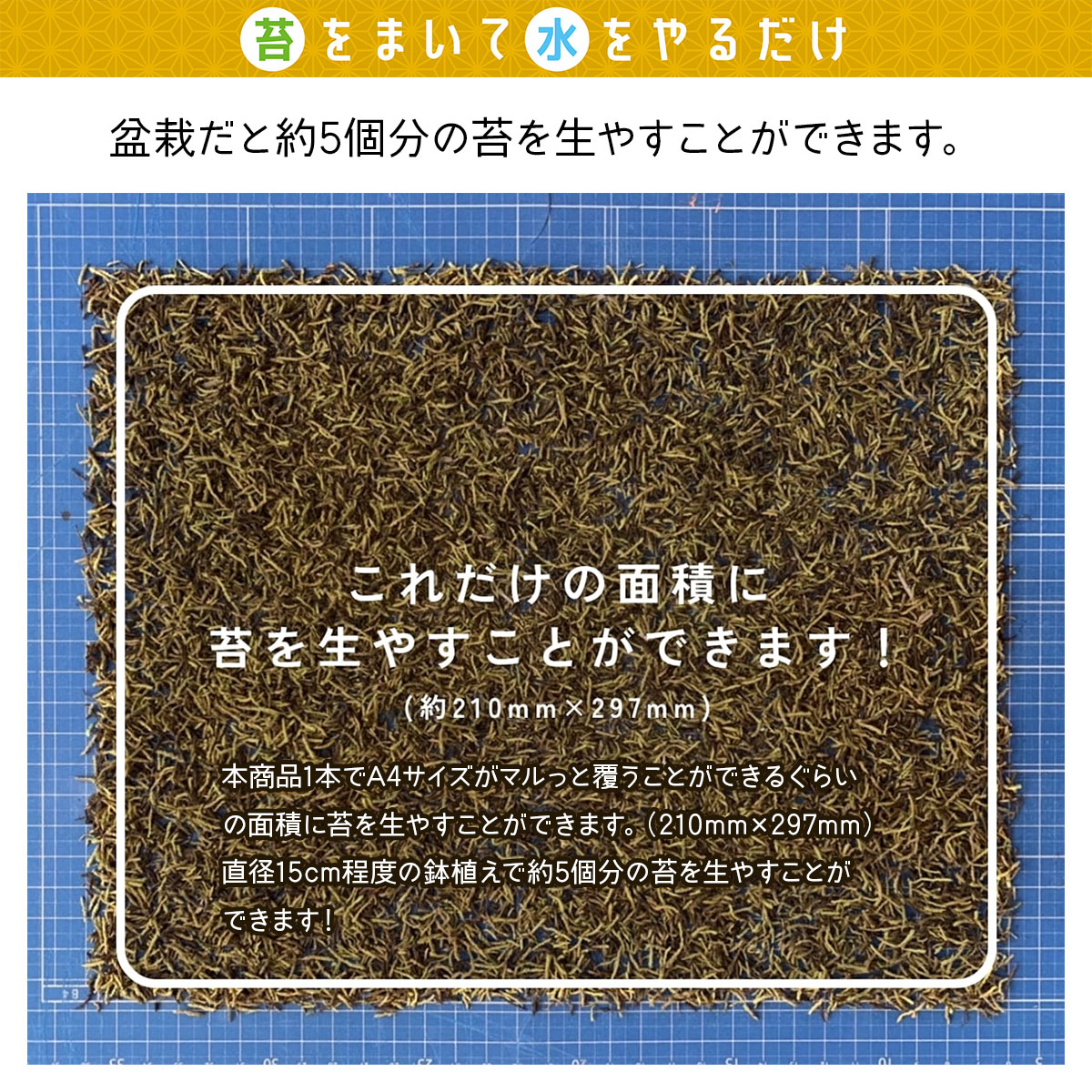 ����ʴ���ϥ����� �Ϥ��������å� �ӥå������� �ߺ� �� ������� �� �ƥ�ꥦ�� �� �󤻿��� ���� ���� �� ���� �������� ʴ�� ���ߺ� �Ѿ��� �ϥ�����