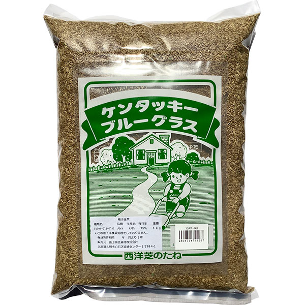 西洋芝の種(ケンタッキーブルーグラス) 1kg 80～120平方メートル用 芝種