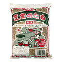 緑化用 草本 サザンカ 果皮付 日本産 種 1kg 種のみの販売 侵食防止 緑化 法面 種子 紅大 共B 代引不可 個人宅配送不可