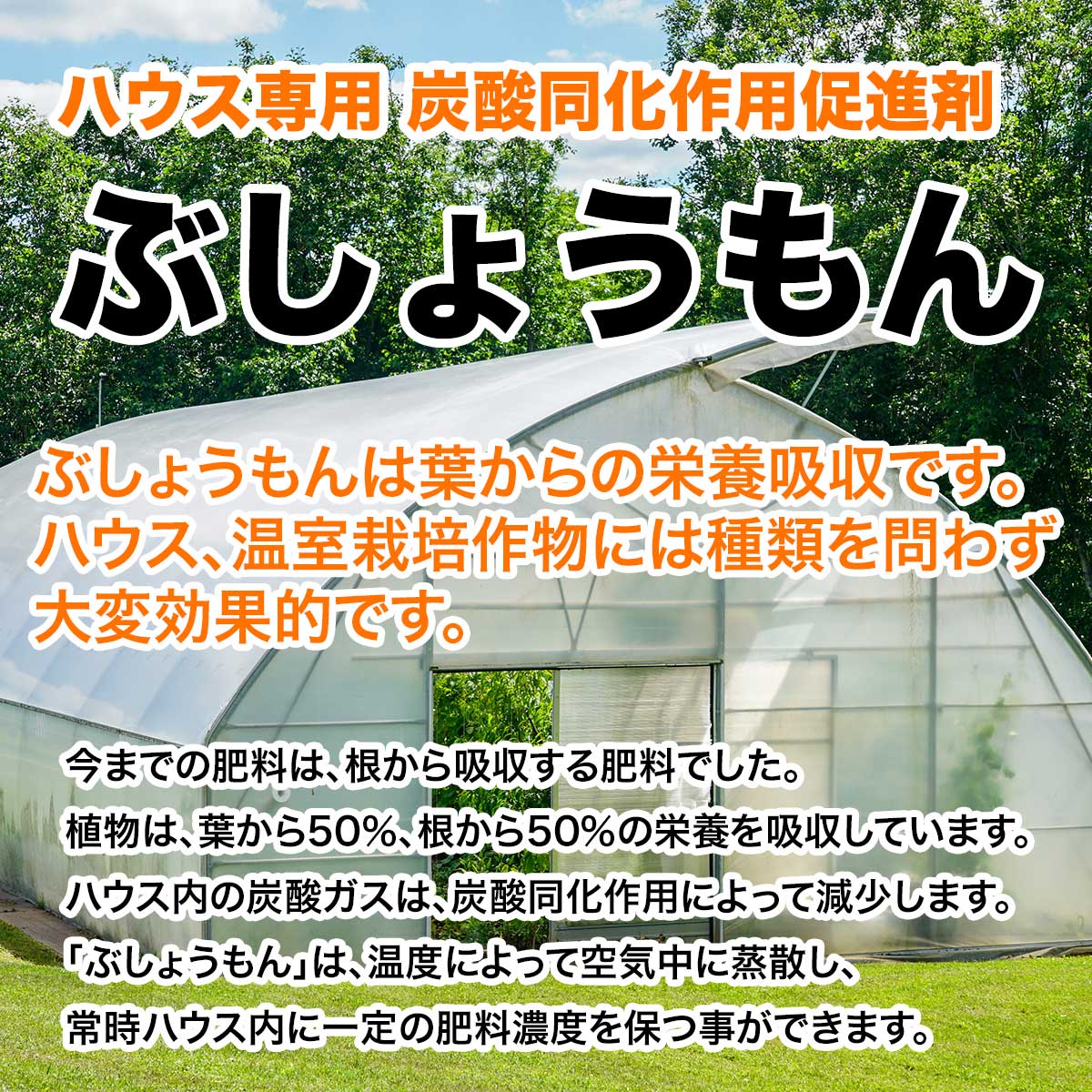 ハウス専用 炭酸同化作用促進剤 ぶしょうもん (100g×14袋) 丸吉産業 葉から栄養吸...