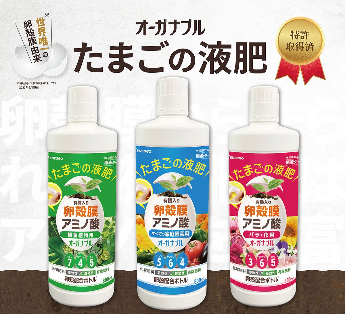 ���� �������ʥ֥� ��������� 800ml ENEGGO ���� ��ʪ ���� ��� ���� �� ���� ��ʪ ͭ������ ��� ͭ������ ��ʪ ���� ��� ���� ��� �������� ��ʪ ��������