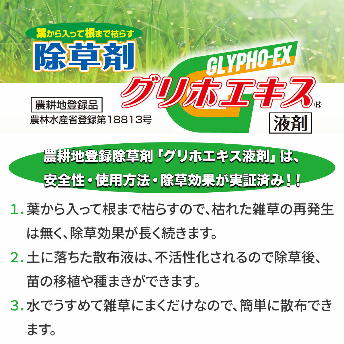 除草剤 グリホエキス 液剤 10L×2本 赤城物産 除草剤 グリホサート 除草剤 除草剤 強力 業務用 除草剤 液体 除草剤 農薬登録品 雑草防除 雑草対策 2