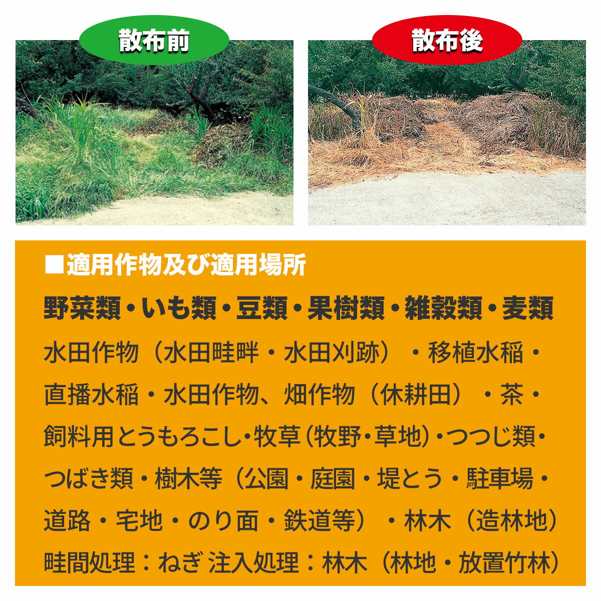 除草剤 グリホエキス 液剤 10L×2本 赤城物産 除草剤 グリホサート 除草剤 除草剤 強力 業務用 除草剤 液体 除草剤 農薬登録品 雑草防除 雑草対策 3