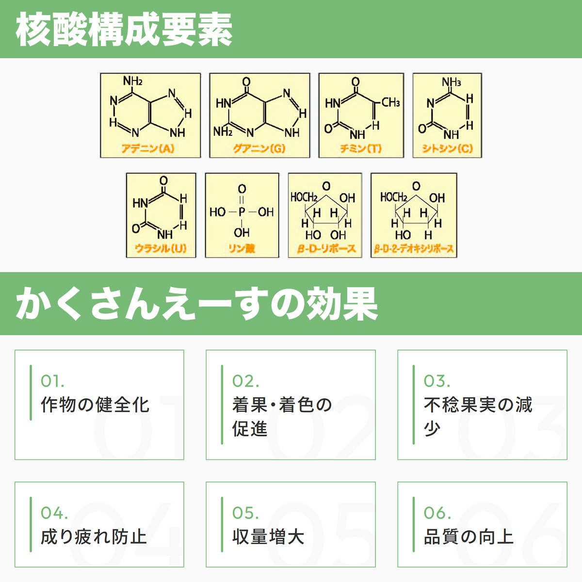 ���� �������󤨡��� 10L �ݵȻ��� �˻� ���ߥλ� ��̳�� ������ ��� �忧 �������� ������Ĺ ��� ����