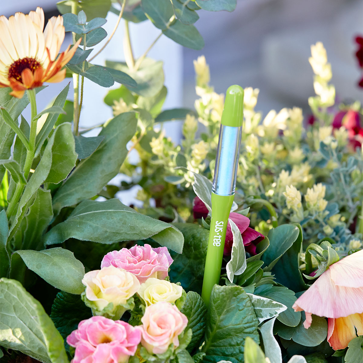 まとめ買い 10本入 水やりチェッカー SUS-TEE(サスティー) Sサイズ グリーン キャビノチェ 2〜3号鉢用 植物用水分計 M 3