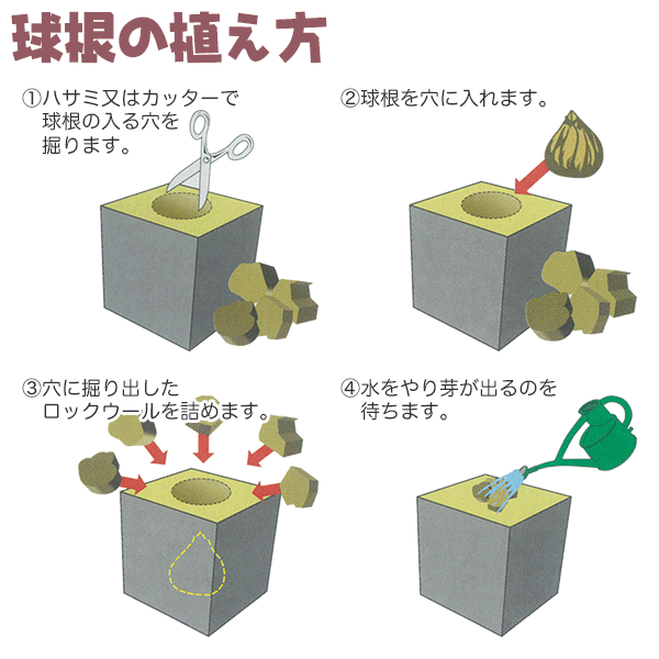 ���å�������ݥå�#75 4P ���¥ץ饹���å� �ġ��庬�˺�Ŭ ���ĥݥå�