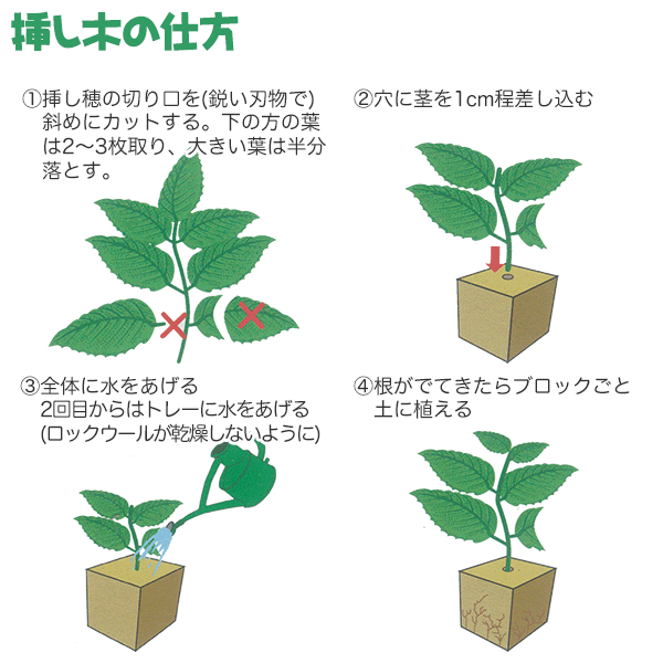 ロックウール栽培マット 84P 大和プラスチック 挿し木・種まきに最適 育苗用トレー...