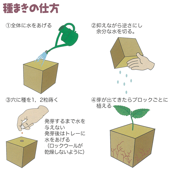 ロックウール栽培マット 84P 大和プラスチック 挿し木・種まきに最適 育苗用トレー...