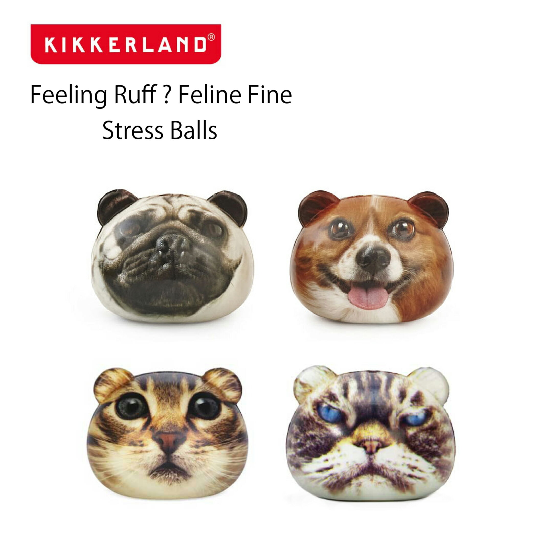 KIKKERLAND / Feeling Ruff? Feline Fine Stress Balls キッカーランド フィーリングラフ？ フィーラインファイン ストレスボール 犬 猫