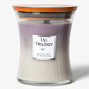 P2倍・最大1000円offクーポン ウッドウィック WoodWick トリロジー ジャー (M) アメジストスカイ【当日発送_14時まで】