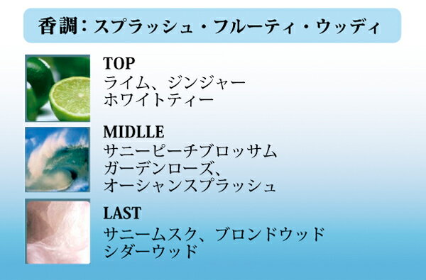 【ポイント2倍】【フェラーリ】 フェラーリ ライトエッセンス アクア EDT SP 75ml【あす楽対応_お休み中】【香水 人気 ブランド バレンタイン ギフト 誕生日】格安通販　バレンタイン　人気　ランキング