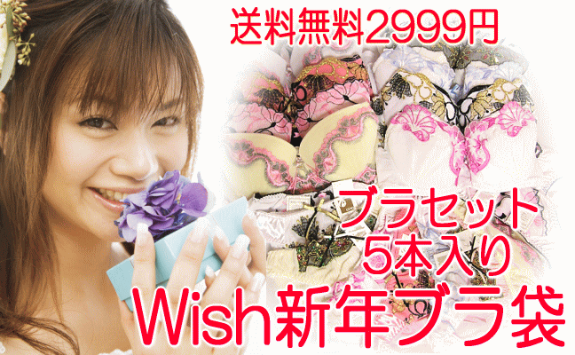 新年なのでちょっとキラキラ系☆限定復活☆Wish新年ブラ袋☆送料無料☆お任せブラセット5組で2999円福袋♪