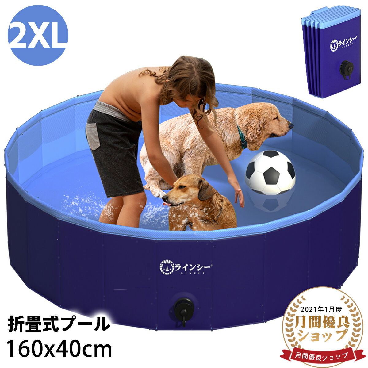 ＼5 OFF！スタート4h限定★／【楽天1位】プール 大型 子供プール 家庭用 子供 160 40cm 犬用プール 暑さ対策 ボールプール プール 水遊び 空気入れ不要 折りたたみ 犬 プール ペット用 プール 簡易 シャワー 贈り物