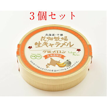 花畑牧場　生キャラメル 夕張メロン (常温タイプ) 72g　3個セット