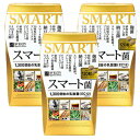 ☆【箱無しメール便指定で送料無料(代引不可)】【アウトレット・30%OFF】スマート菌120粒(箱無し) ×3個セット【Svelty スベルティ】≪今だけエルーカトライアル3包おまけ付き≫