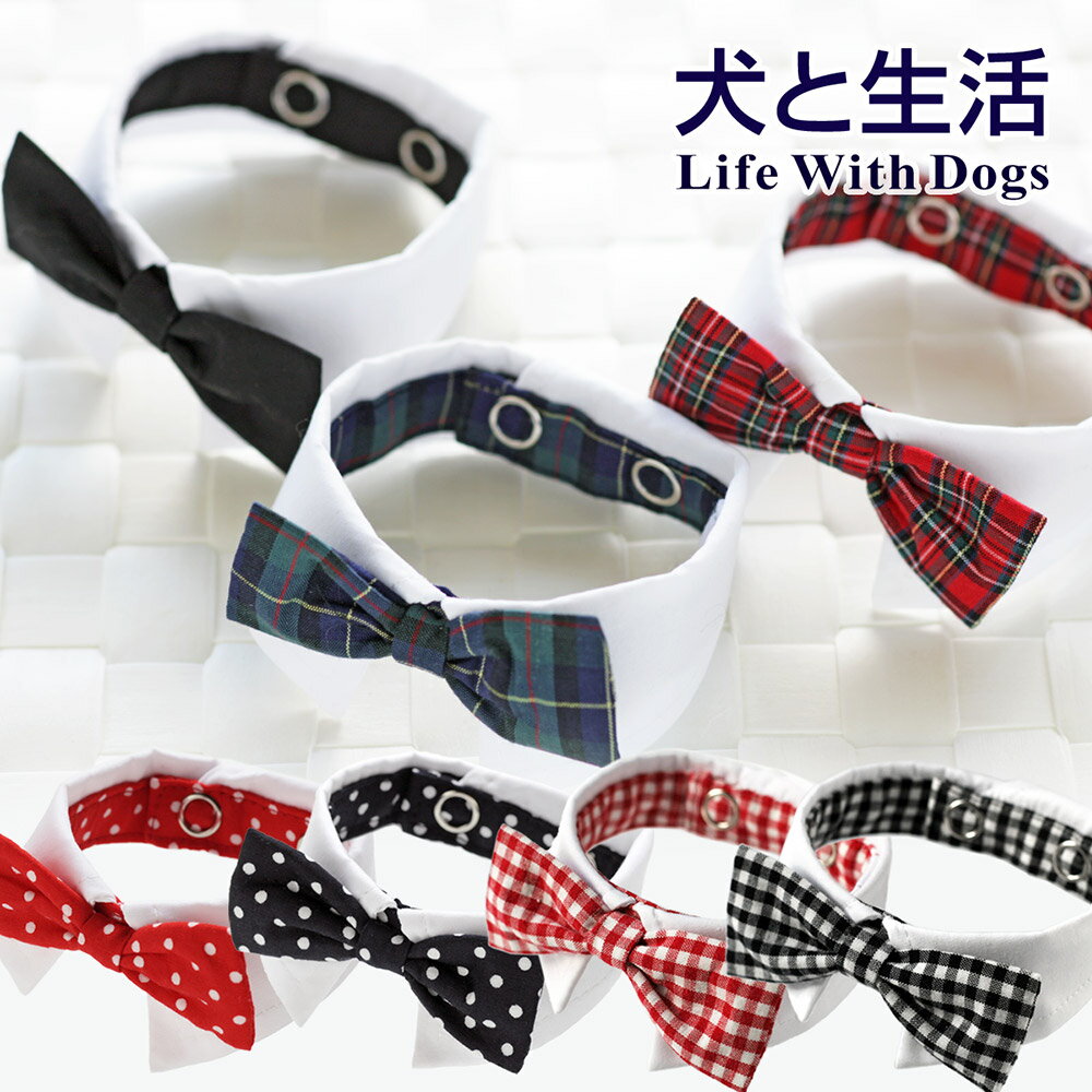 【犬 犬服 フォーマル lwd LWD パーテ