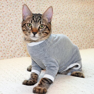 スーパーガードスーツ　L　猫の暮らし伸縮性が高く猫ちゃんの体型に合った形です。【脱け毛防止 介護服 術後服 乳腺腫瘍 保護服 傷舐め防止 ペット服 病院】