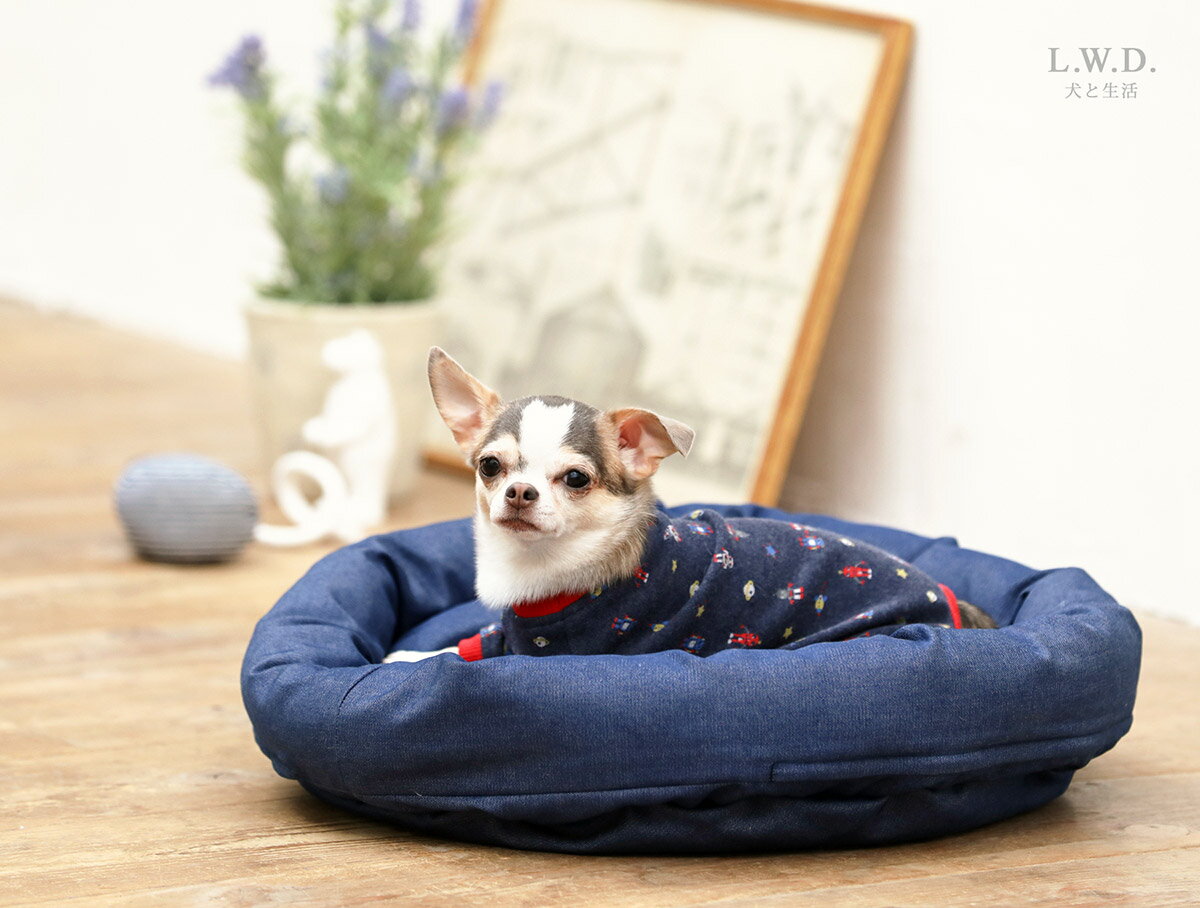 【シニアフェア30％OFF！】ロウカドラークレンゼ（抗菌・抗ウィルス）Mサイズ犬と生活 猫の暮らし犬 ベッド 猫 ベッド 低い フカフカ 国産 日本