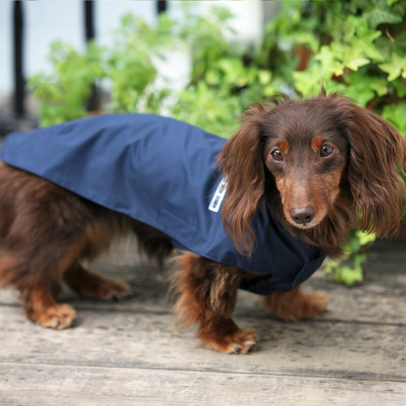 楽天市場 Dog レインコート レインウェア レインマント ダックス 中型犬 大型犬用 犬と生活 猫の暮らし 楽天市場 Dog レインコート レインウェア レインマント ダックス 中型犬 大型犬用 犬と生活 猫の暮らし