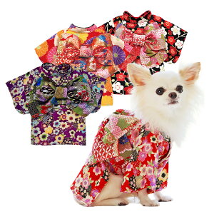 犬着物｜年賀状撮影で着せたい！犬用の可愛い着物のおすすめは？