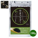 竹炭粉 竹炭パウダー さつま竹源作 食用 100g 炭粉 パウダー 国産