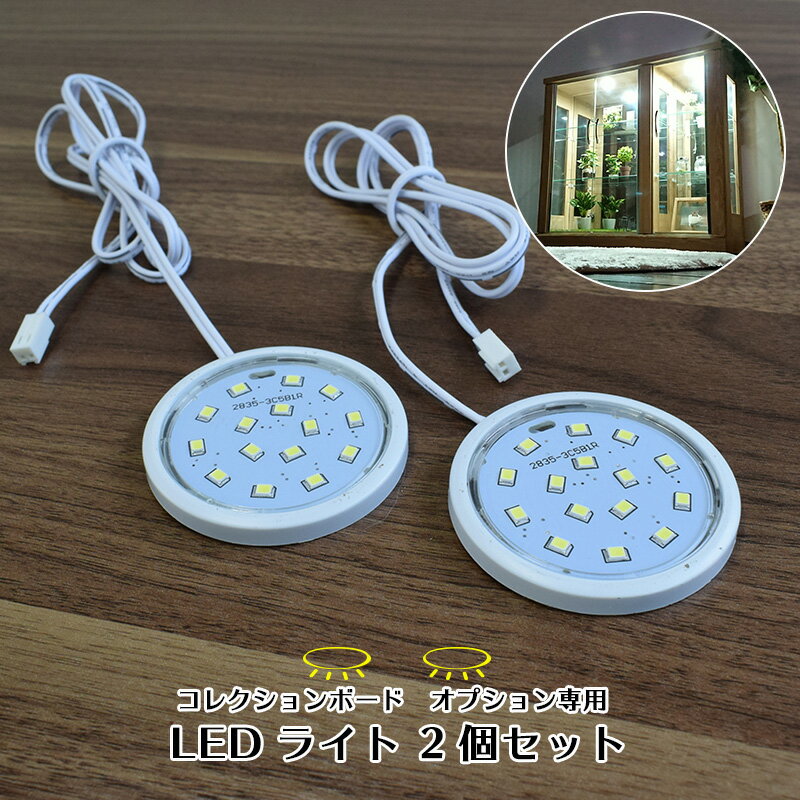 【単品購入用】 コレクションボード オプション専用 LEDダウンライト【2個セット】ロータイプ専用