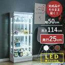 ★クーポン配布中★24日20:00～29日23:59まで コレクションケース led 横ライト 幅50cm ミドルタイプ 完成品 コレクションボード ガラスショーケース ショーケース 飾り棚 キュリオケース【スペクトル横ライト50M】