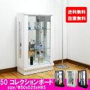 コレクションボード ロータイプ 幅50cm 開き戸 コレクシ...
