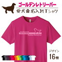 【名入れTシャツ】ゴールデンレトリーバー ゴールデン 愛犬 犬 犬服 服 飼い主用 オーナー オリジナル プリント グッズ 名前 名入れ Tシャツ シルエット ...