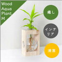 母の日メッセージ入【ラッピング可】プレゼント 観葉植物付き 水栽培 ポット 花瓶 水耕栽培 キット グリーン ミニ 観葉植物 おしゃれ鉢 雑貨 インテリア ハイ...